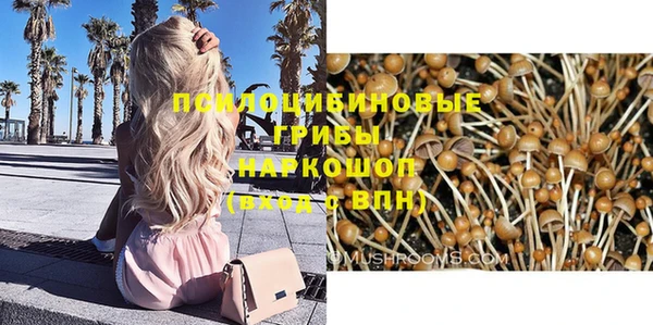 ГАЛЛЮЦИНОГЕННЫЕ ГРИБЫ Абинск