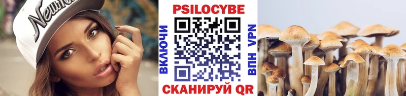Псилоцибиновые грибы Psilocybine cubensis  Новопавловск 